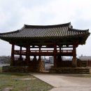 면사무소 Daum카페