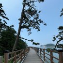 만리포 절벽 카페 썬셋클리프 뷰가 예쁜 카페
