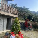 용두농장 | 넓고 깨끗한 애견 동반 카페 아벤티노의 정원 후기. 광주 근교 애견 카페 추천.