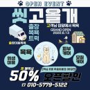 씻고올개 | 대형견 출장목욕 씻고올개 후기 ~ !!