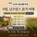 [세계여행] 집에서 떠나는 세계 유명 미술관 여행 - 역사의 숨결이 살아 숨 쉬는 미술관 | 한진관광 9월 남프랑스 여행의 정수 마르세유 직항예술기행과 와이너리 추석연휴출발