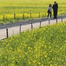 낙동강변16 이미지