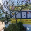 신식당 이미지