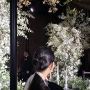 (주)우루루산본점 | 주간172번째 주간일기 (25년 10월 기록.3)