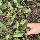 국토종주자전거길1-55 | [아이와 국토종주] 칠곡보에서 합천창녕보까지 1박2일 (새로운 아이템과 둘째의 큰 낙차) 방심 금지