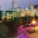 금호리조트(주)설악 이미지