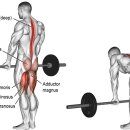 비타민휘트니스 13호점 이미지