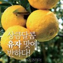 유자