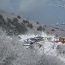서청주약국 이미지