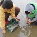 죽림어촌체험마을 이미지