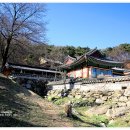 서운산(瑞雲山) 기슭에 자리한 천년 고찰 석남사(石南寺)