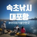 속초 대포항 바다낚시 포인트 낚시후기