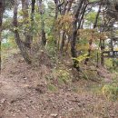 감천의 얼굴 이미지