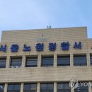 쳐다봐 이미지