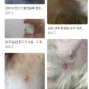 뉴케어동물병원 이미지