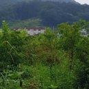 해망산농장 네이버블로그