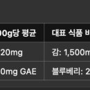매실의 역사 [매실청 매실주 매실장아찌]