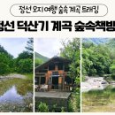 8/8(토) 8月정기산행 덕산기 계곡 트래킹/순재대장님 이미지
