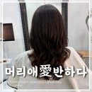 머리애 봄 - 해운대구 | 머리애 봄