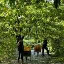 도연2호 이미지