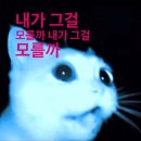 ㈜K.A.T 앞 보도 | 쫄보의 운전면허 도전기 (필기~장내시험+재시험)