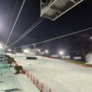 힐스토리 애견 동반 펜션 네이버블로그