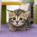 보은메디칼 이미지