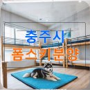 평화문구 | 충주시 폼스키분양 그 작은 결정이 가져온 것들