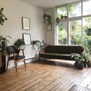 플랜테리어 이미지