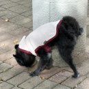 코앤컴 네이버블로그