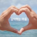 감사