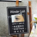 원더속눈썹