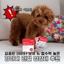 그루동물병원 | 강아지 관절 영양제, 검증된 데이터와 흡수율 기준으로 고른 조인트 프로 후기