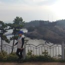 대현여행사