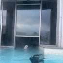 더 시에나 리조트 야외수영장 오뎅, 고구마 무제한 제공까지!