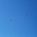 화악산풍경펜션 이미지