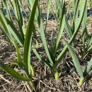 만산농장 이미지