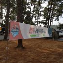 몽산포패밀리데이캠핑장 이미지