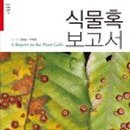 식물A 이미지