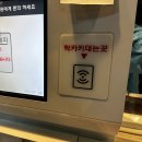 금계길 | 강원도 태백시 성지24시 불가마찜질방, 사우나