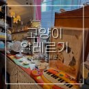 고양이샵 | 해방촌소품샵 고양이알레르기ㅣ냥이에게 지배당한 이태원문구점 내돈내산 후기