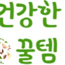 딴지맘 꿀템