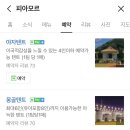 피아모르