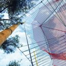 도림사 오토캠핑장 이미지