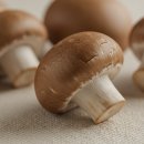 부여사랑마트 | [건강]충남 부여 브라운양송이: 깊은 풍미와 건강을 담은 프리미엄 버섯