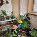 더카슐랭 | [제주/애월] 에어비앤비 애월 스테이도토리 감성숙소 솔직후기 + 흑돼지 김치찌개 찐맛집