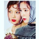 현둥이네 Daum카페