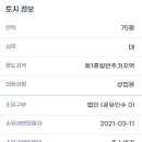 신사동-19 이미지