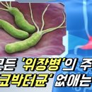 모든 위장병의 주범 헬리코박터균 없애는 음식 이미지