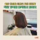 울산 다운동 미용실 추천 머리빨 착한 가격에 염색하고 왔어요